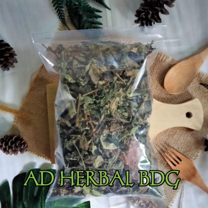 

Daun Kumis Kucing Kering Isi 100 Gram Herbal Alami