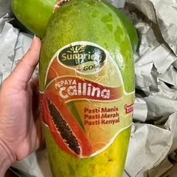 

Pepaya Callina Sunpride