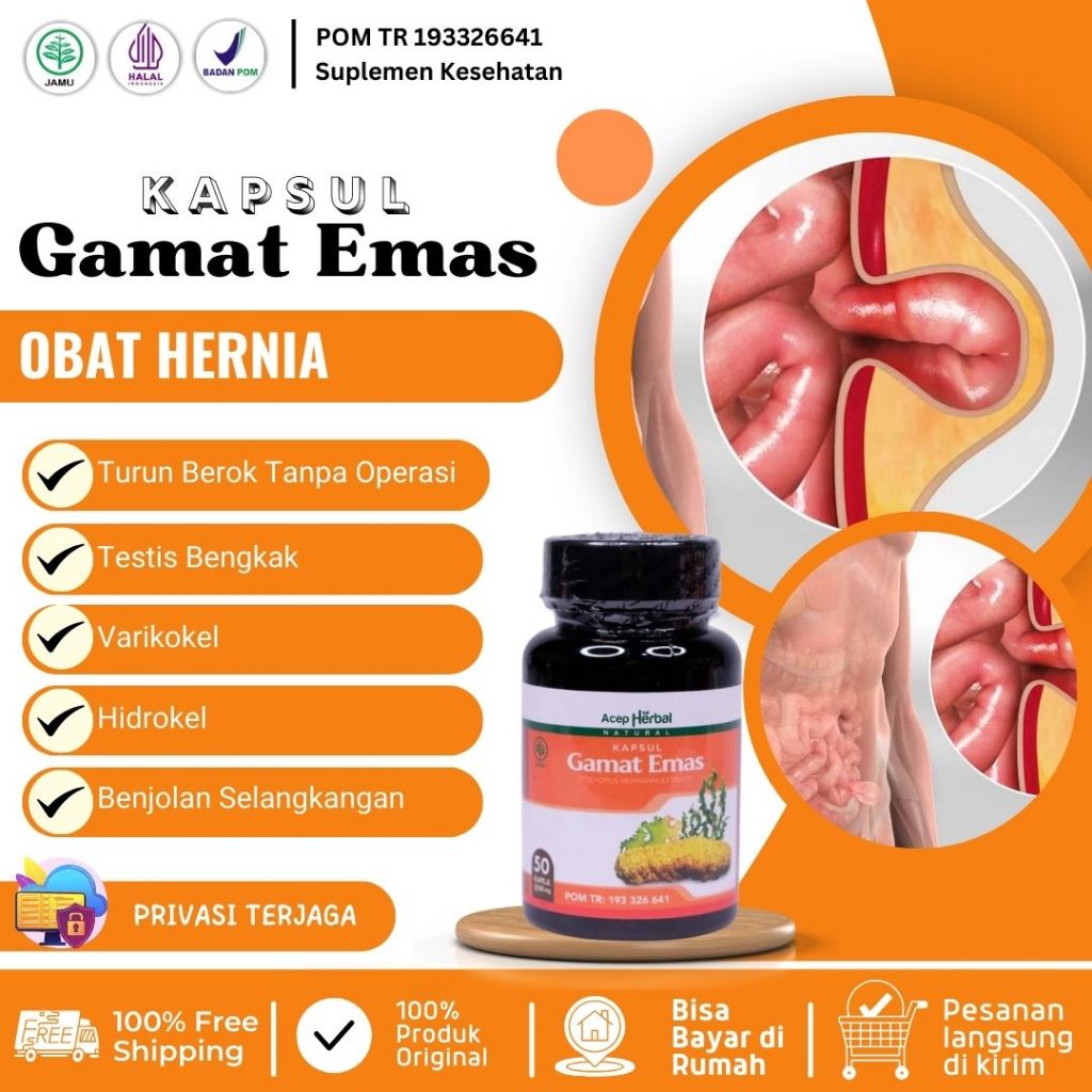 Obat Hernia Turun Berok Tanpa Operasi Testis Bengkak Varikokel Hidrokel Turun Berok Usus Turun Buah 