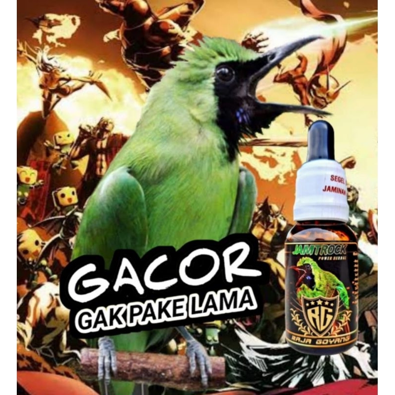 JAMTROCK RG/Vitamin burung Cucak Ijo/penggacor burung cucak ijo/Jamu Burung/BAYAR DITEMPATJAMTROCK R