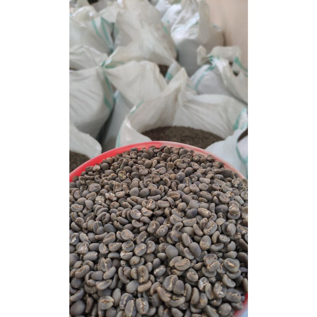 

Green Bean Arabica Gayo Semi Wash - Grade 1 - Sailingcoffee.id