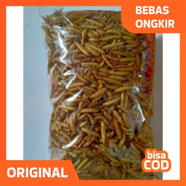 Manggot BSF Manggot Kering Pakan Ikan Predator 100gr