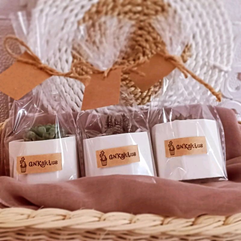 Souvenir sukulen kaktus mini /Souvenir pernikahan /Souvenir sunatan /Souvenir murah