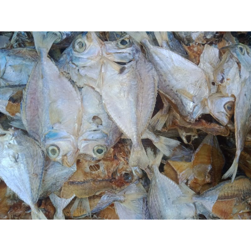 

ikan kopek kering 1 bungkus