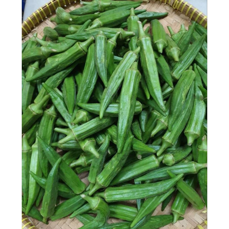 

SAYUR OKRA SEGAR / BUNGKUS - 150 GR