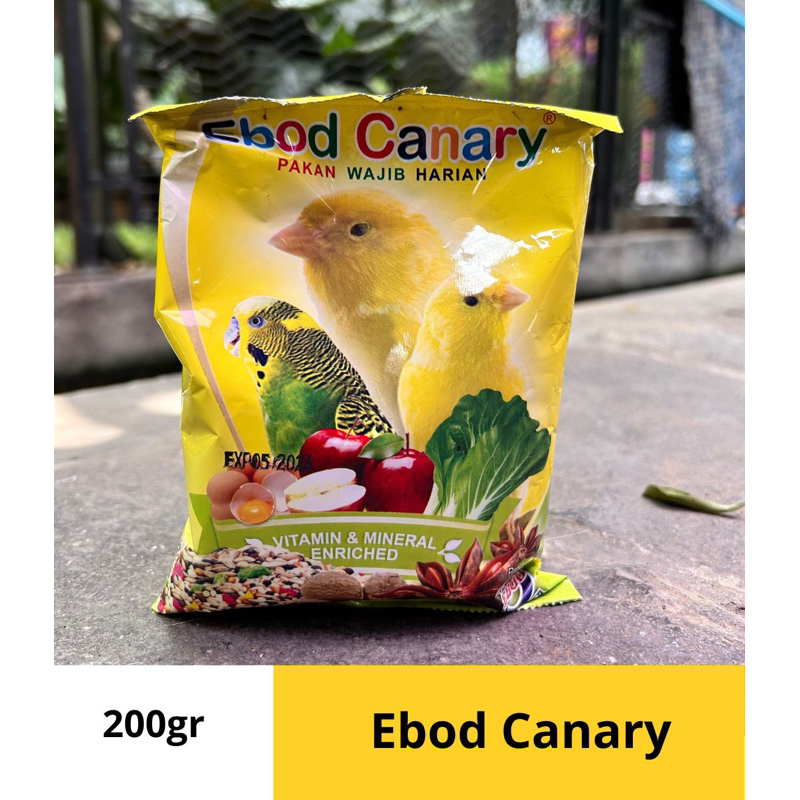 ebod canary / ebod kenari / pakan burung kenari