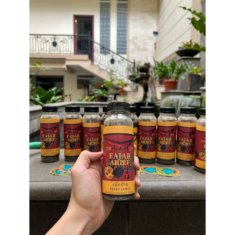 Pelet Jahat Fajar Arief Original Repack dan Full Pack untuk Channa Maru