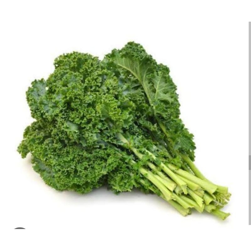 

DAUN KALE - 250 GR