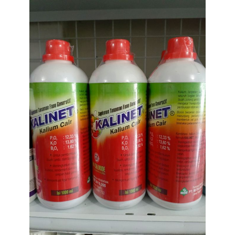 Kalinet