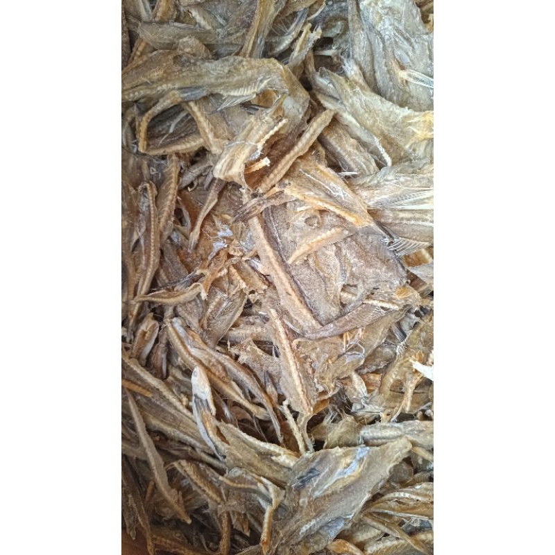 

sitting atau jambrong