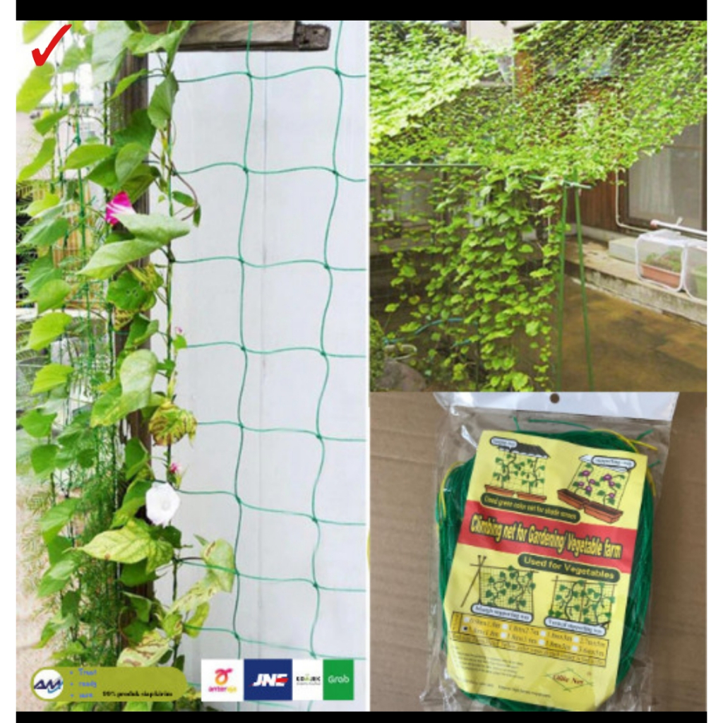 Jaring Rambatan Tanaman Net Climbing