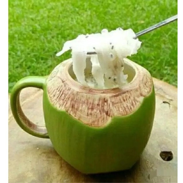 ASS GELAS KELAPA GELAS MODEL KELAPA 3D GELAS KELAPA UNIK LUCU BAGUS GELAS UNIK COCONUT MUG