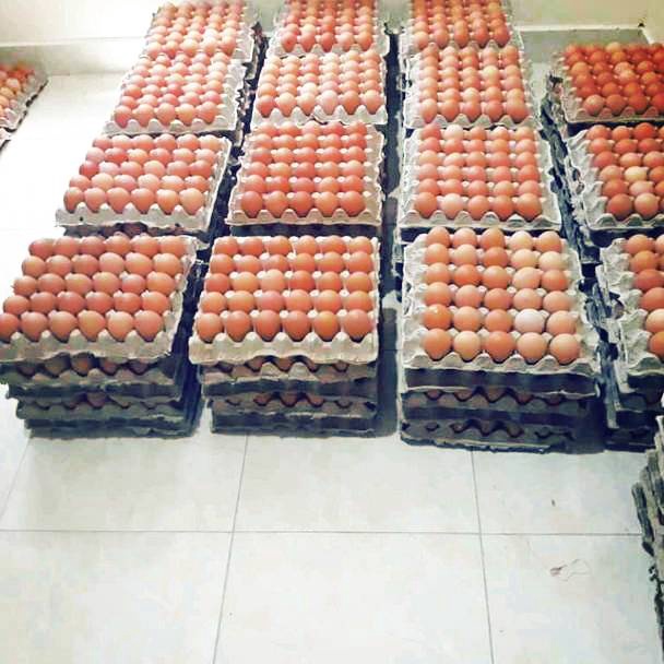 

WVBN0256 (C6369] [PROMO PAKET HEMAT BISA FREE ONGKIR] Telor / telur ayam negeri per kg fresh baru