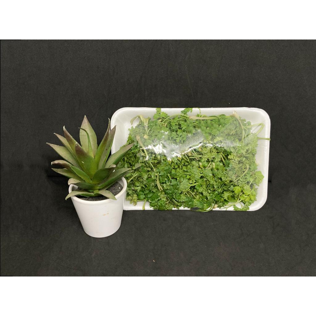

Daun parsley segar, daun parsley