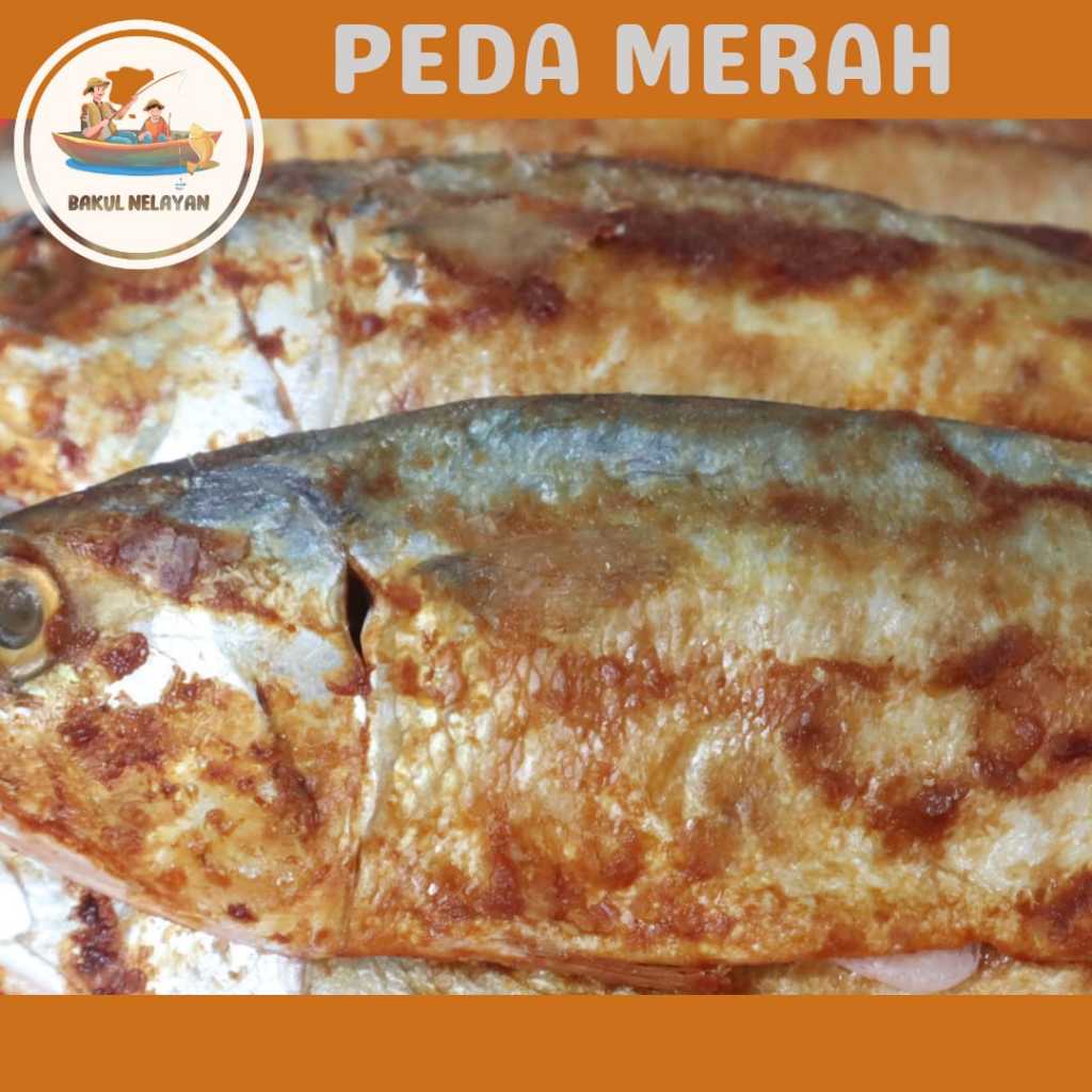 

IKAN ASIN PEDA 1 KG / PEDA MERAH / PEDA PUTIH / HARGA TERMURAH BIS COD