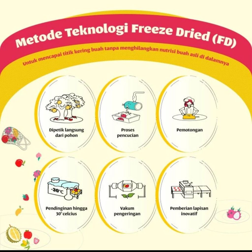 

QH Keripik Buah Durian Thailand / Freeze Dried Durian Sehat Halal