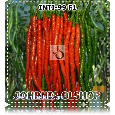 Johrnia 10 Benih Biji Cabe Keriting INTI 99 F1