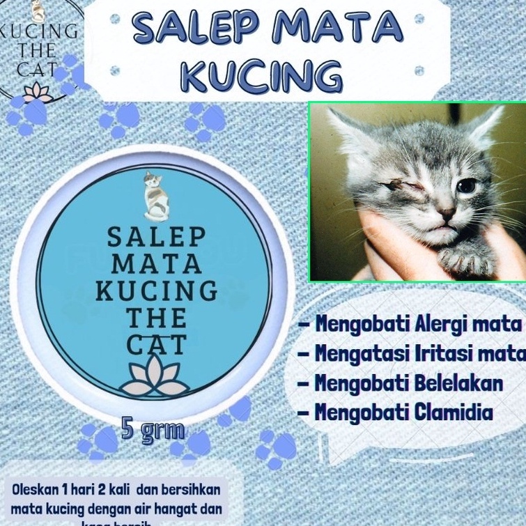 Salep The Cat Obat Mata Kucing Clamidia Salep Mata Kucing Ampuh Kitten dan Adult