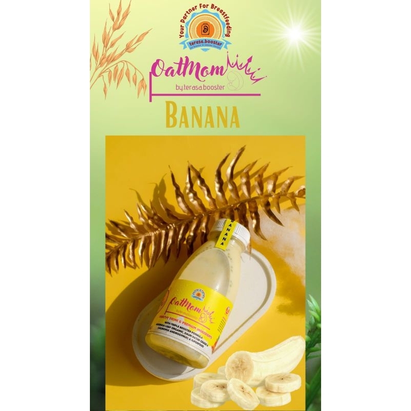 

Asi Booster "Terasa Booster Oatmom