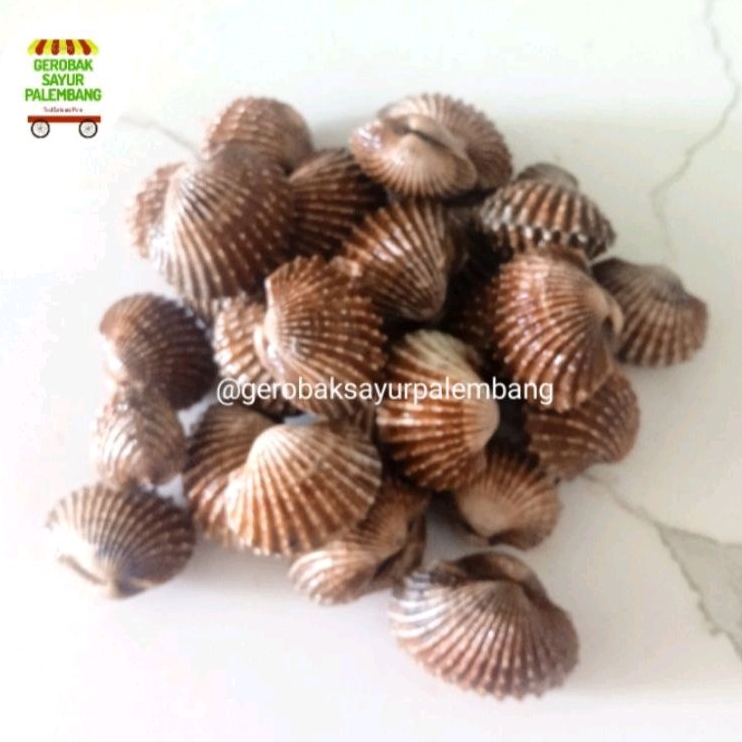 

kerang dara 500 gr - Gerobak Sayur Palembang