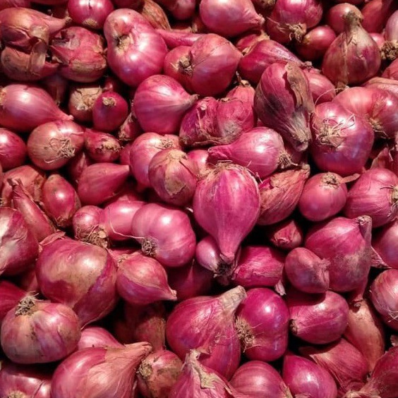 

MQWH6639 COD Bawang merah brebes besar2