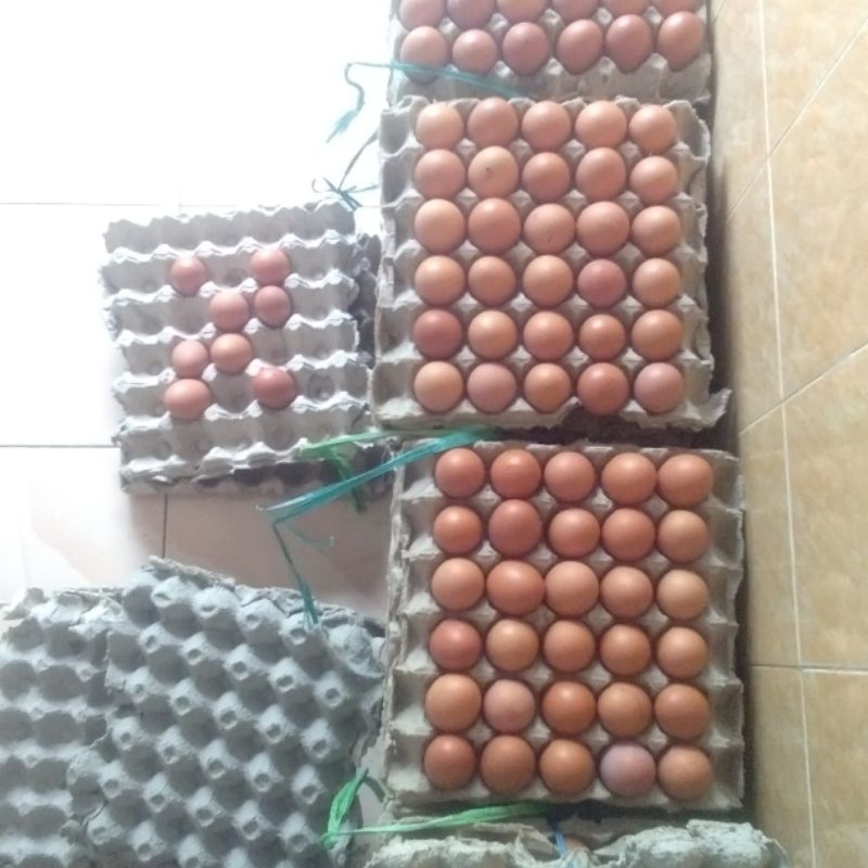 

telur ayam negeri 1/2kg