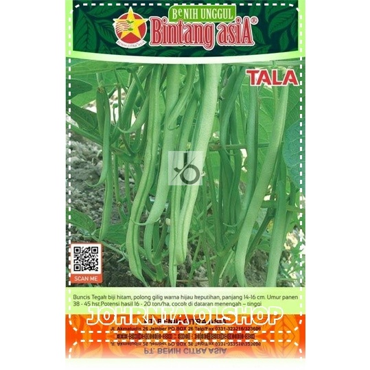 Johrnia 15 Benih Biji Buncis TALA