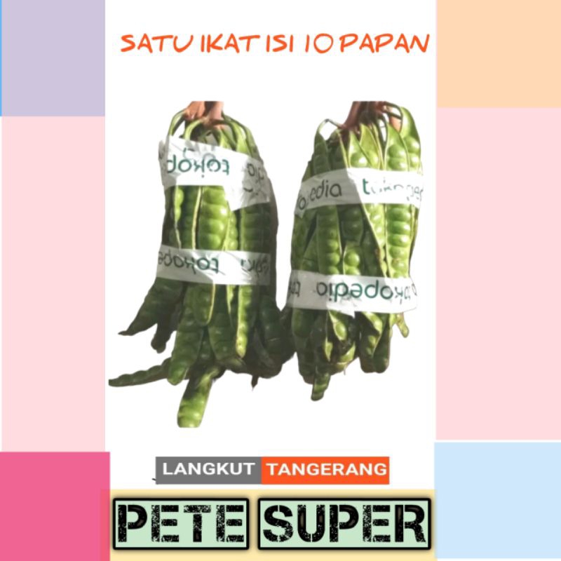 

BEST SELLER pete super 10 papan