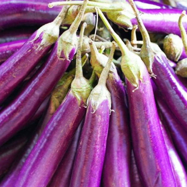 

Terbaru Terong Ungu 500 gr