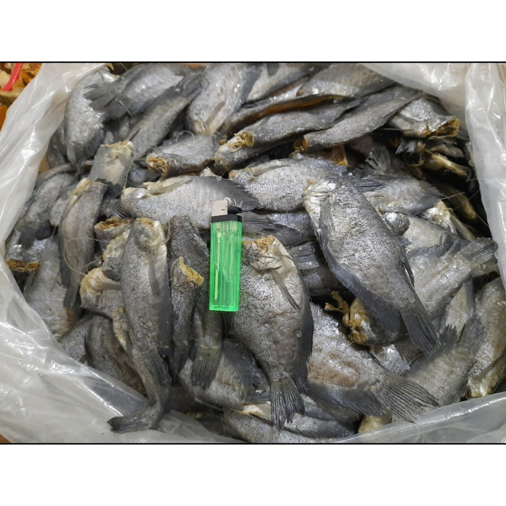 

ikan asin sepat siem besar jumbo 1/2kg