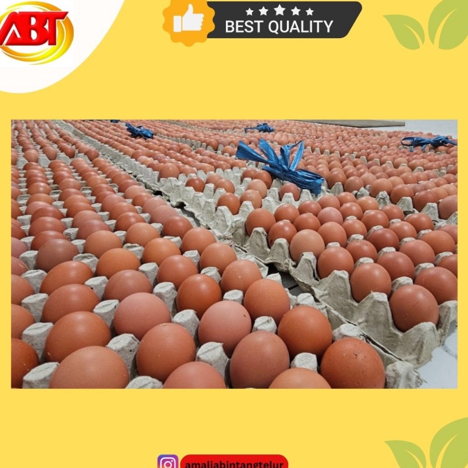 

Kode OJ920 ABT - Telur Ayam Negeri 1 Tray (Isi 30 Butir, 1800-1900gram)