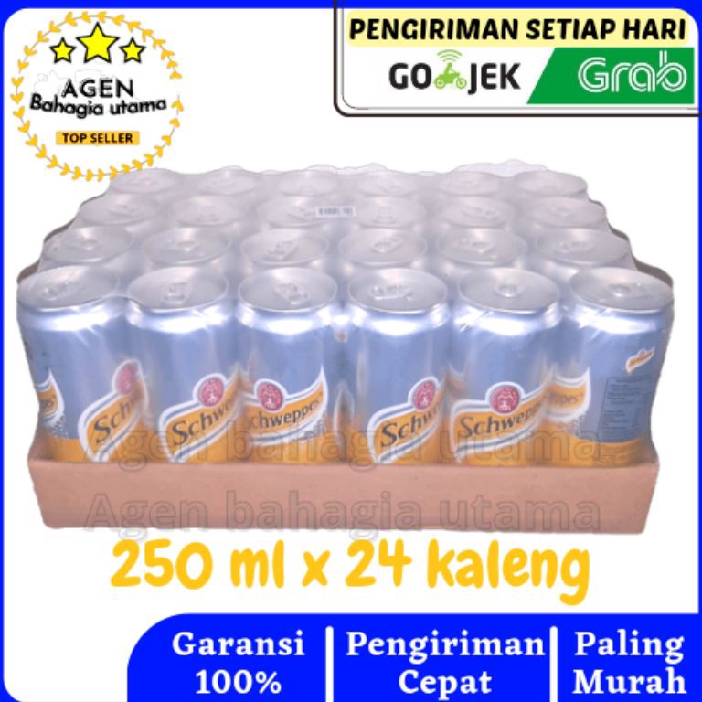 

FD97 Schweppes Tonic Water 250ML 1 karton (24can) etfbu