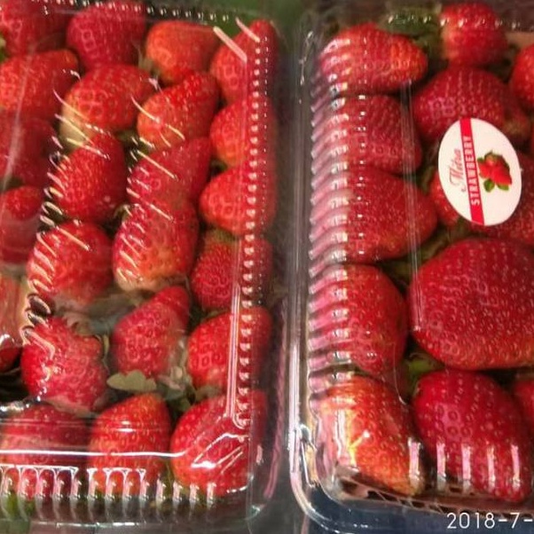 

KODE VBY673 Buah strawberry organik bandung