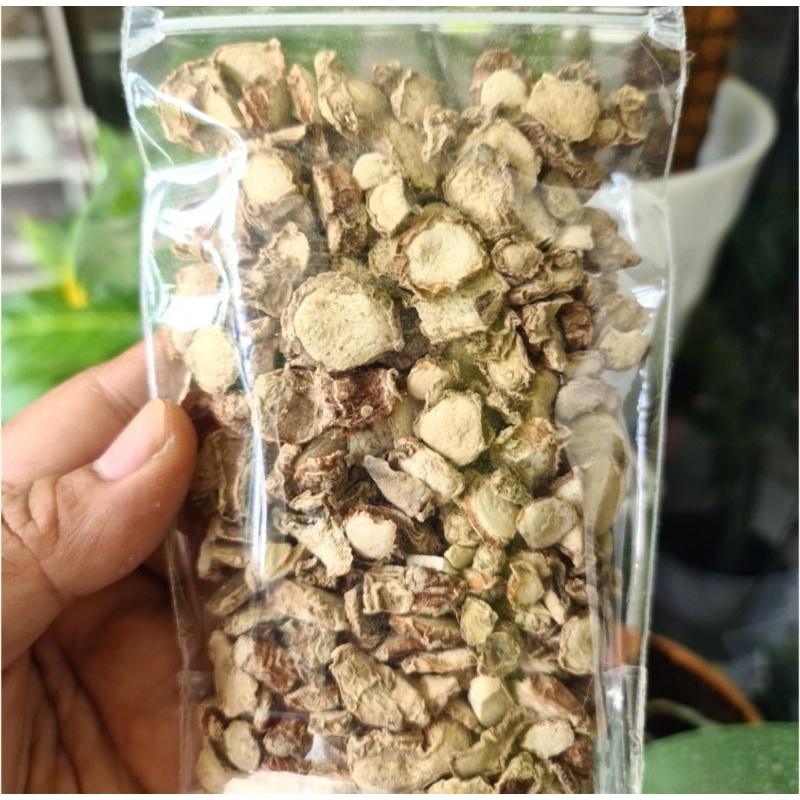 

Kencur kering 200 gram