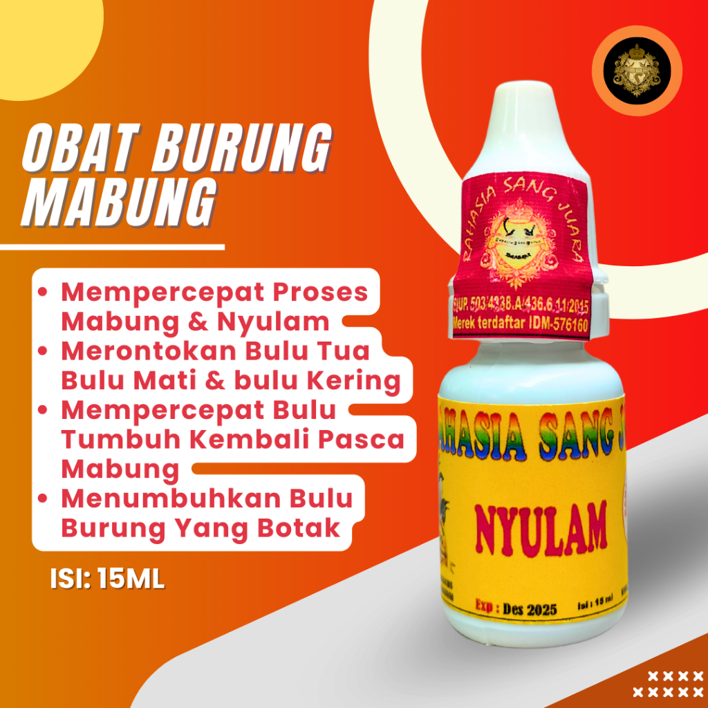 OBAT BURUNG MABUNG NYULAM NGURAK MEMPERCEPAT PROSES MABUNG GANTI BULU