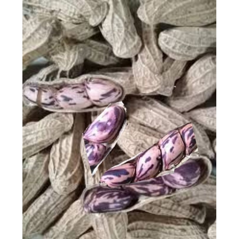 

Kacang Batik Khas Manado 250gr - 500gr