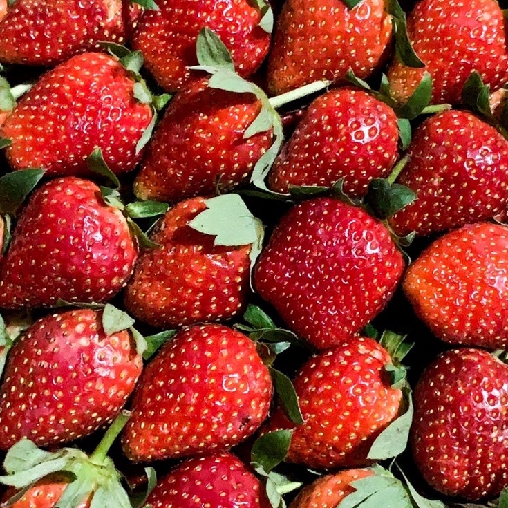 

modelTipe WQC549 STRAWBERRY 1 KG | BUAH STRAWBERRY | STRAWBERRY FRESH | (KHUSUS SAMEDAY DAN INSTAN)