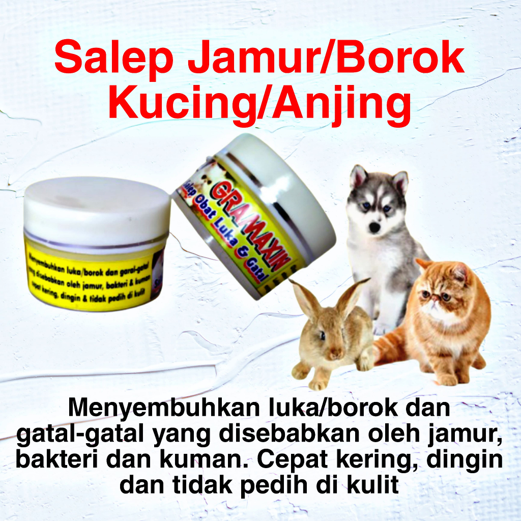 Salep Gramaxin 10gr BISA INSTAN