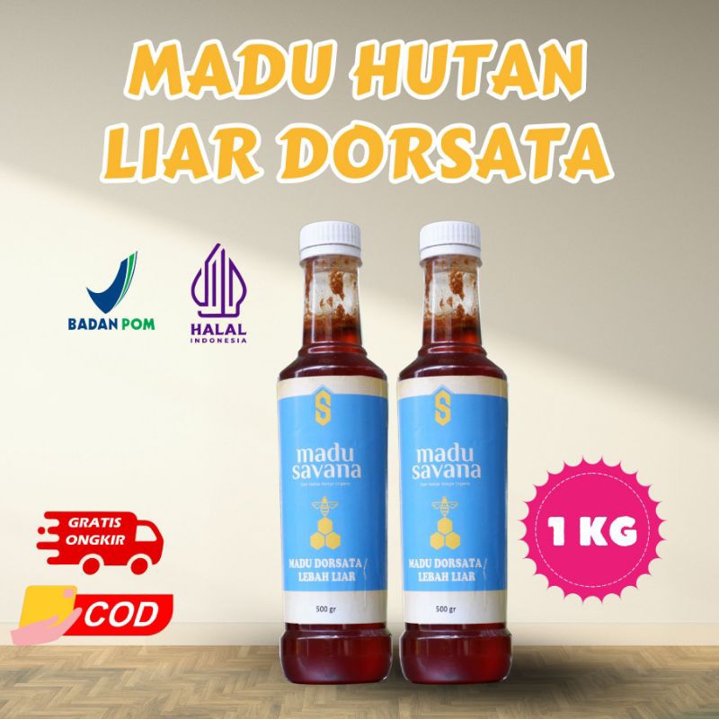 

Madu Murni Hutan Dorsata Alami Madu Savana