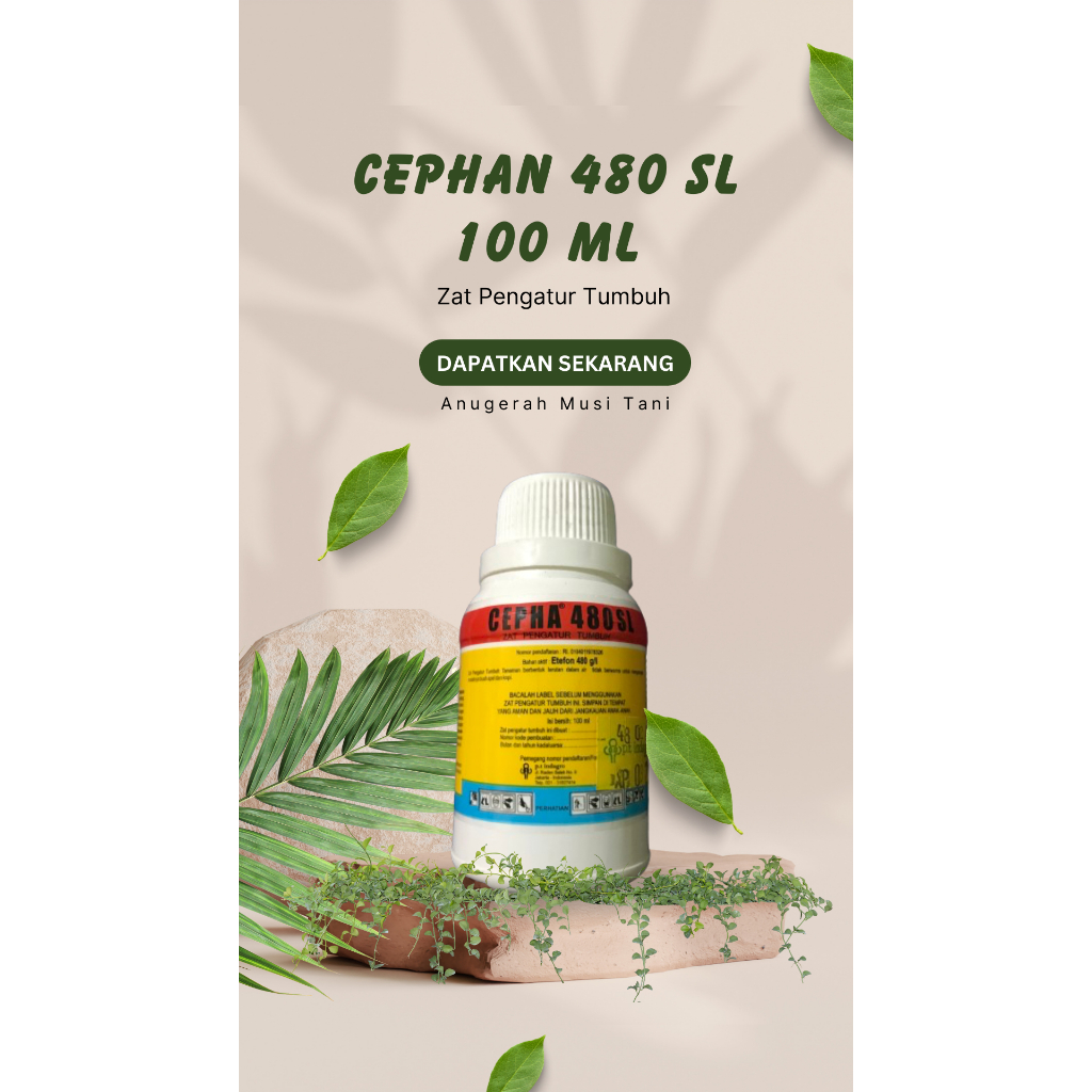 Cepha 480 SL (100 ml)