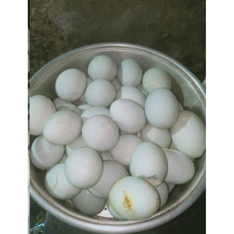 

Telur asin Rebus dan bakar