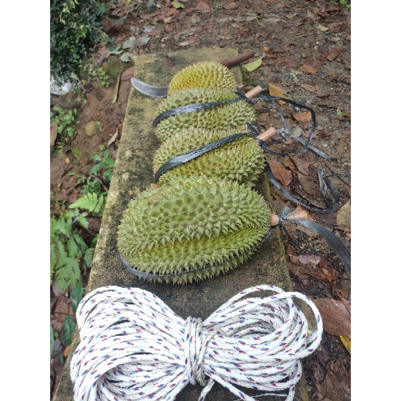 

durian super