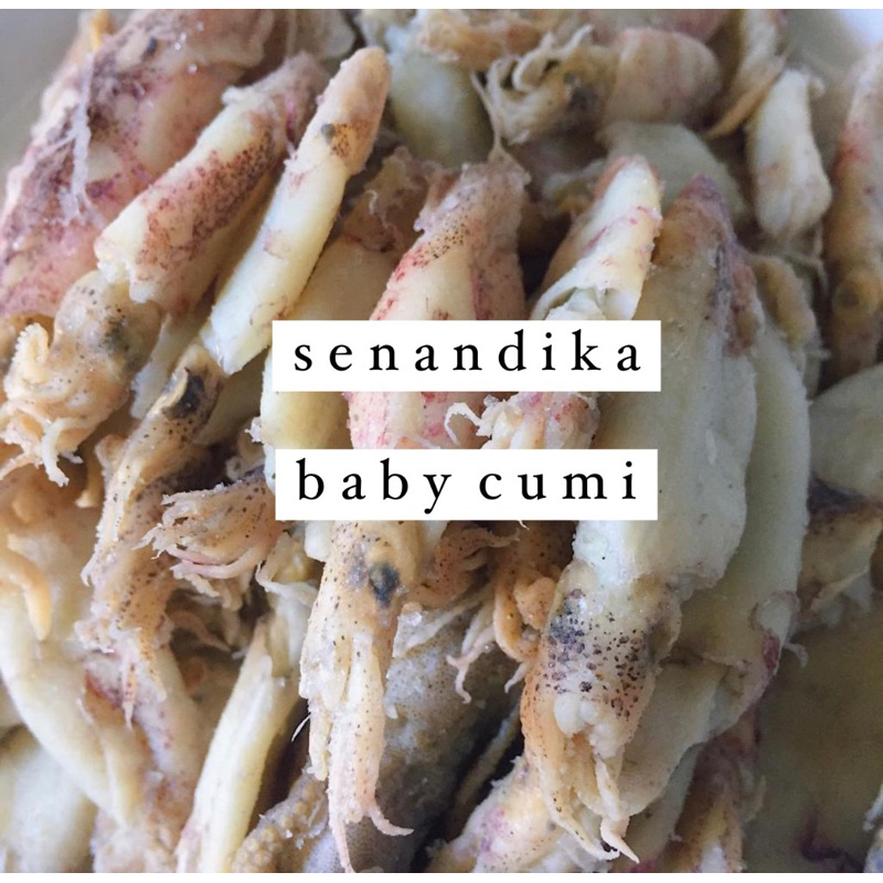 

baby cumi asin / baby cumi / baby cumi kering