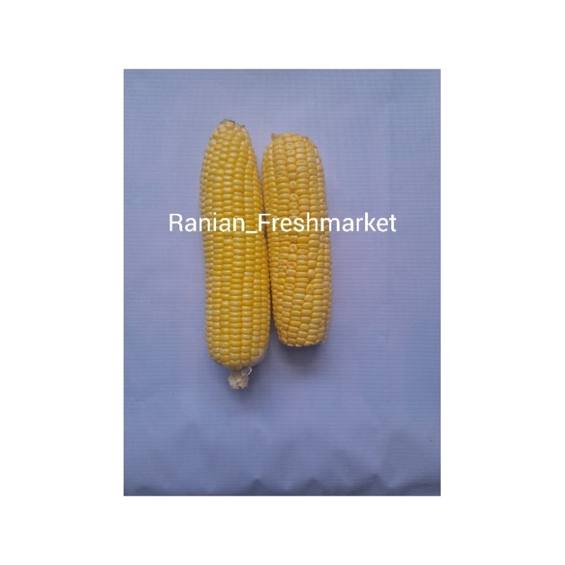 

Jagung Manis 2Pcs Sayuran Segar Online Bogor