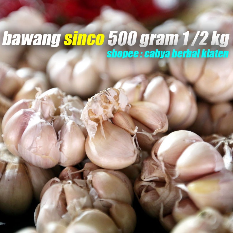 

Bawang Putih Sinco 1/2 Kg 500 Gram Bersih Fresh