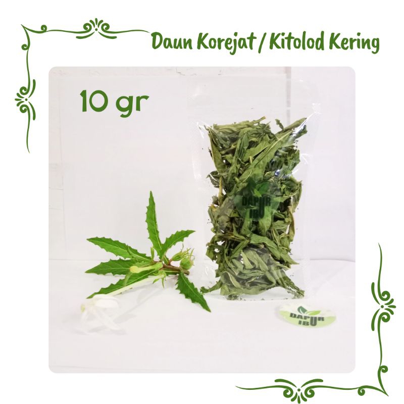 

Daun Korejat, Daun Kitolod, Daun Tikorejat