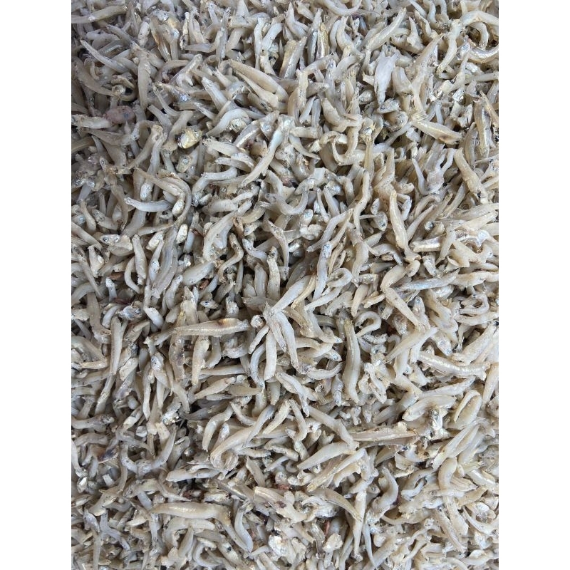 

Teri bountio Asin Rebus Freshh!! (Size 2-4 cm - 3-5 cm) Per 1 Kg Ikan Asin Murah!! Grosir