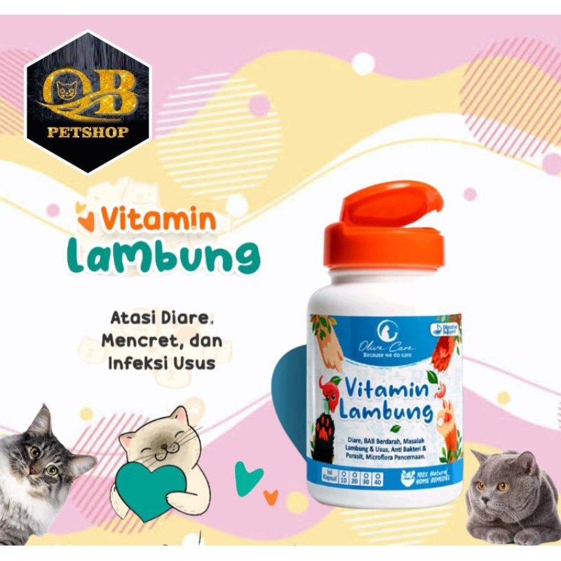 Olive care vitamin Lambung diare mencret infeksi  usus