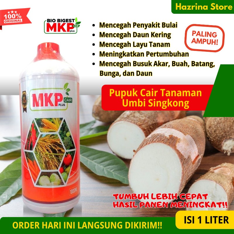 POC Singkong Pupuk MKP Cair untuk Tanaman Singkong Sampeu Umbi Singkong TERLARIS