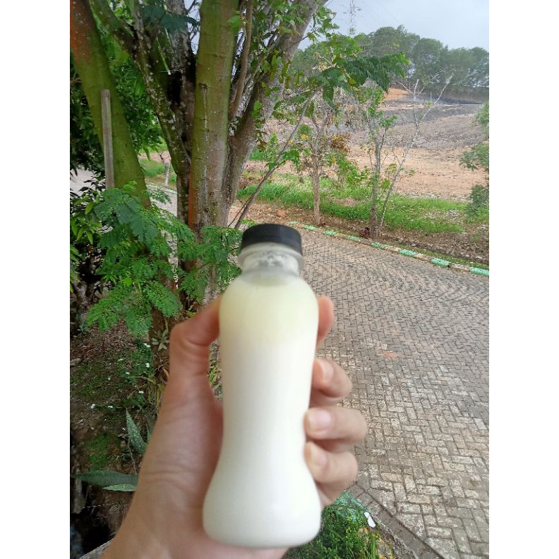 

Kefir Susu Sapi 150ml